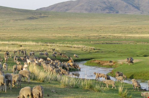 Das natürliche Filzmaterial stammt von Schafzüchtern aus der Mongolei