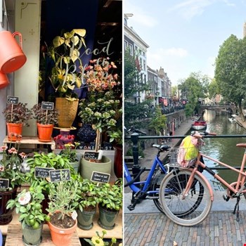 Mitten im Grünen bei Rood & Bloem und der Oudegracht mit dem Dom im Hintergrund