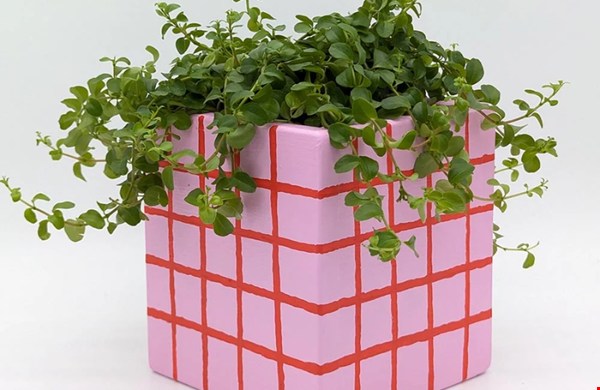 Art Pot Pink Red