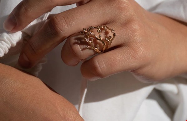 Acacia Tree Ring